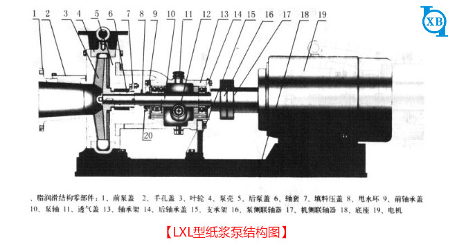 纸浆泵结构图.png